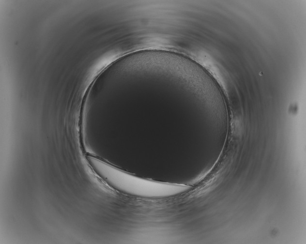 X0000097630954200803071528