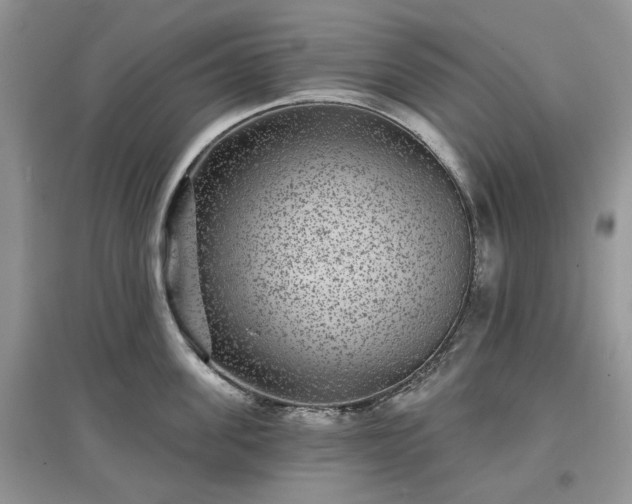 X0000097630955200803071528