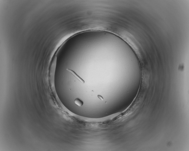 X0000097630956200803071528