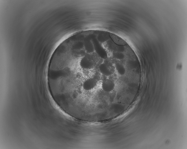 X0000097630957200803071528