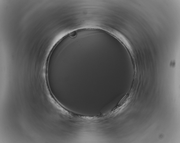 X0000097630958200803071528