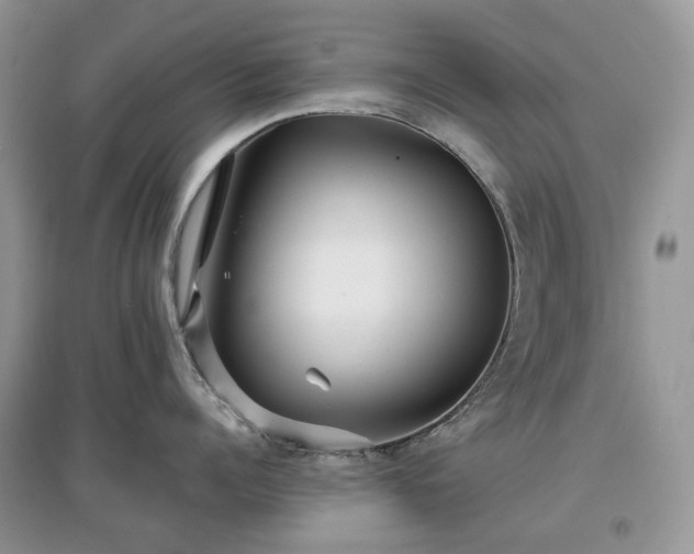 X0000097630960200803071528