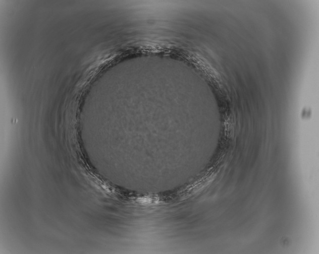 X0000097630961200803071527