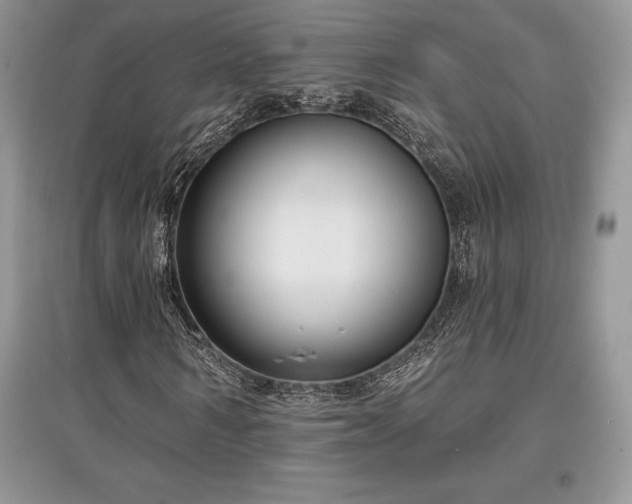 X0000097630962200803071527