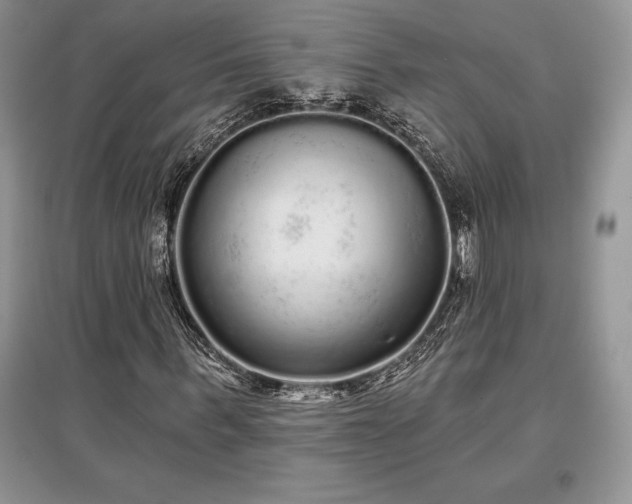 X0000097630963200803071527