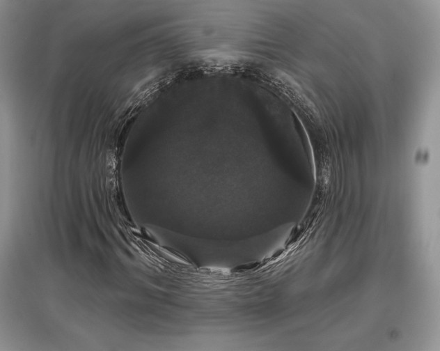 X0000097630964200803071527