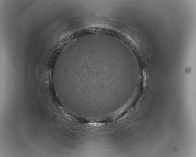 X0000097630965200803071527