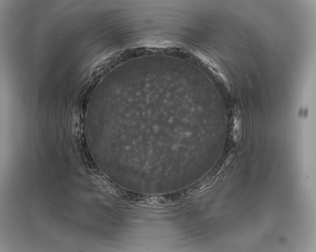 X0000097630966200803071527