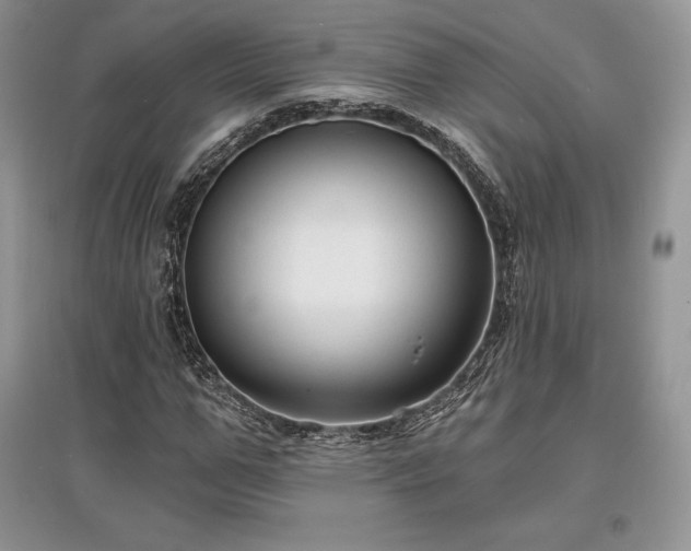 X0000097630967200803071527