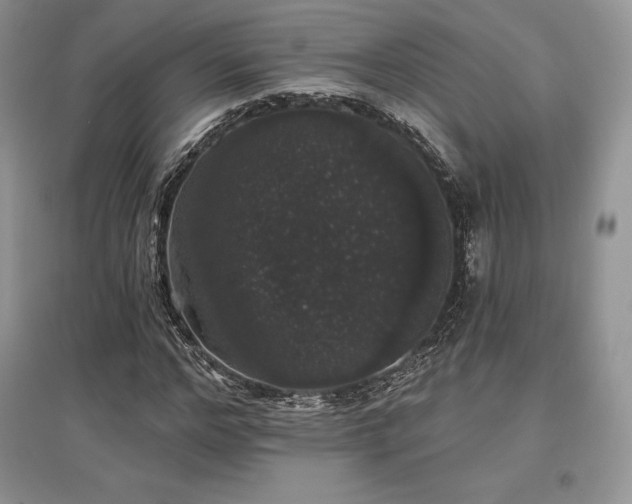 X0000097630968200803071527