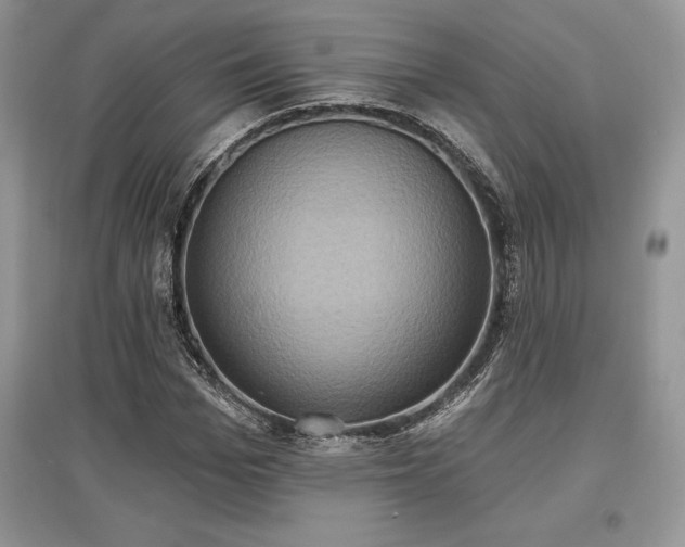 X0000097630969200803071527