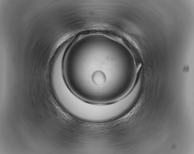 X0000097630970200803071527