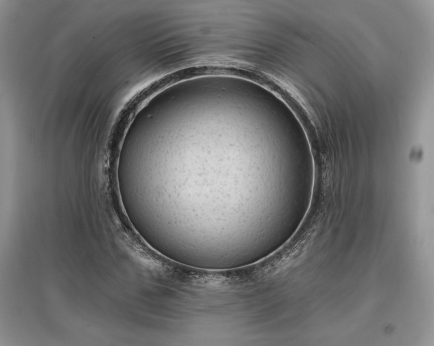 X0000097630971200803071527