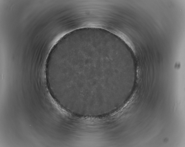 X0000097630972200803071527