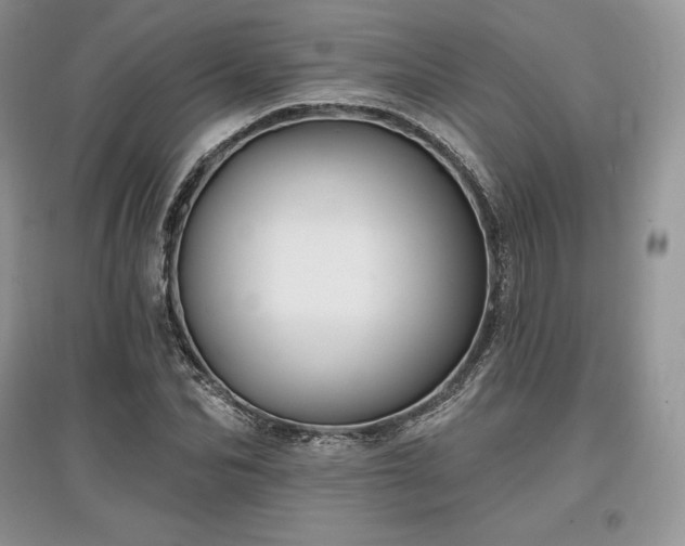 X0000097630974200803071527