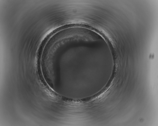 X0000097630975200803071527