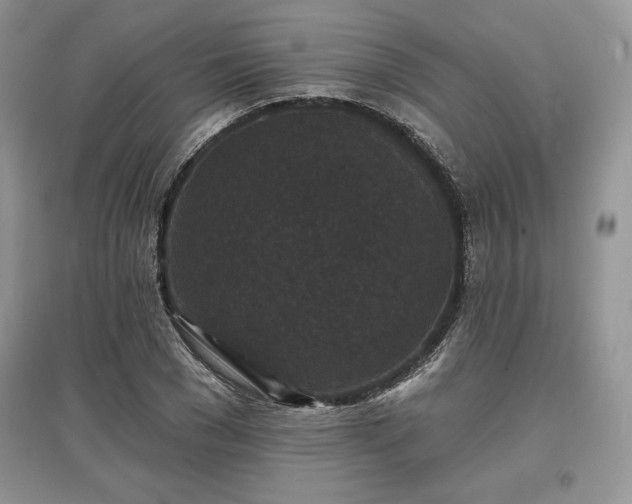 X0000097630977200803071527