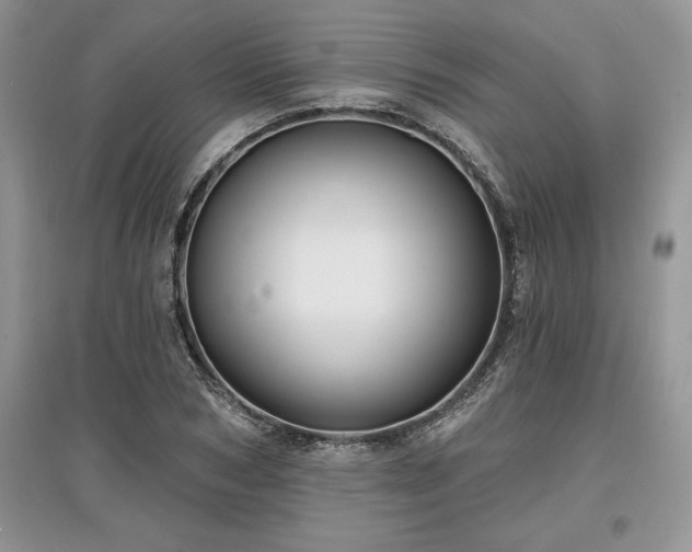 X0000097630978200803071527