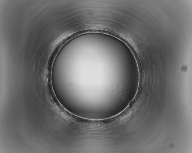 X0000097630979200803071527