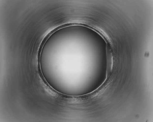 X0000097630980200803071527