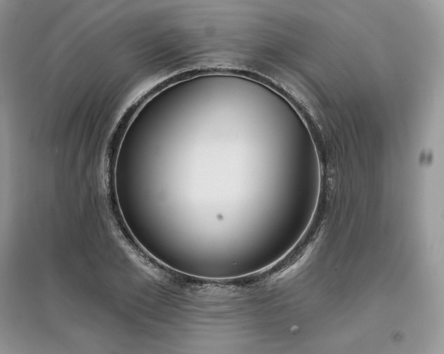 X0000097630981200803071527