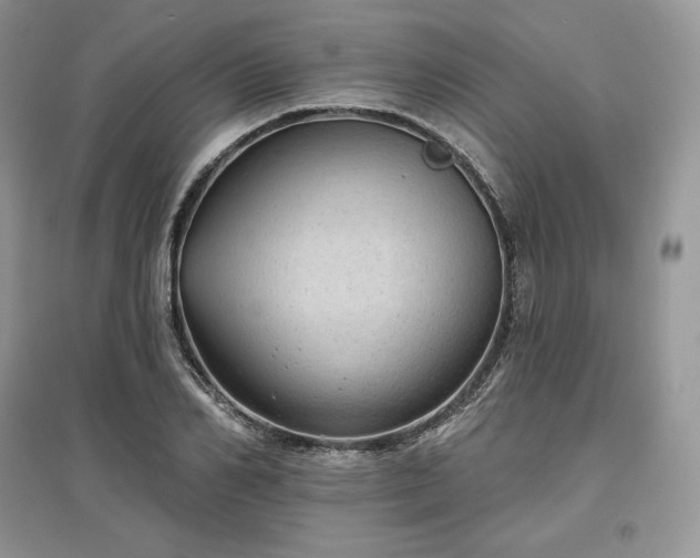 X0000097630982200803071527