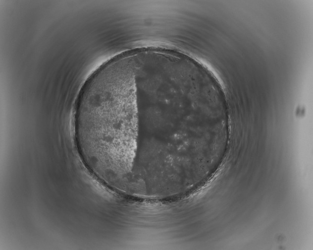 X0000097630983200803071527