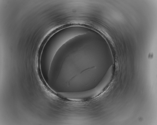 X0000097630984200803071527