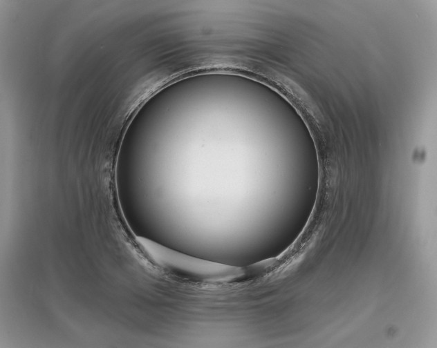 X0000097630985200803071527