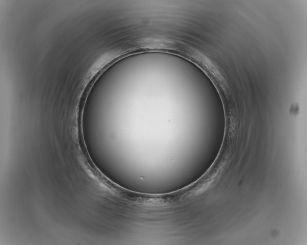 X0000097630986200803071527