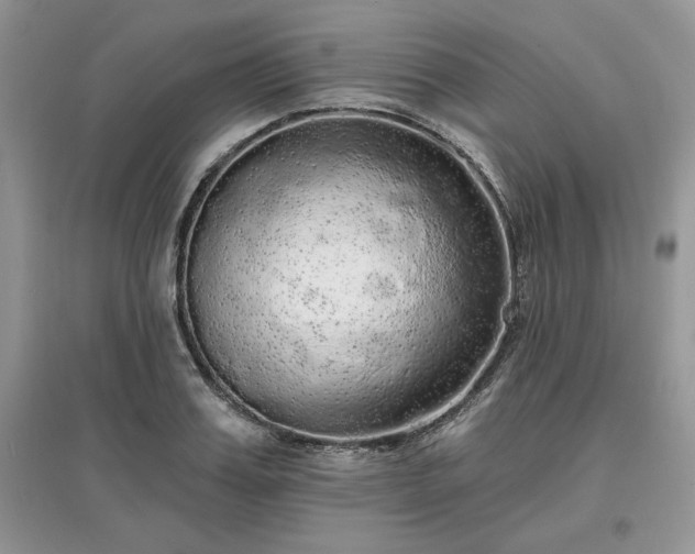 X0000097630987200803071527