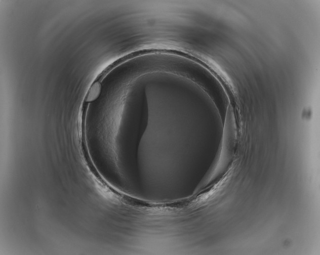 X0000097630988200803071527