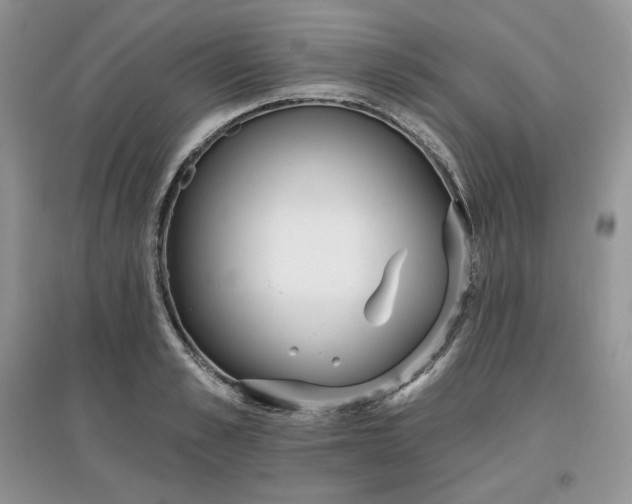 X0000097630989200803071527