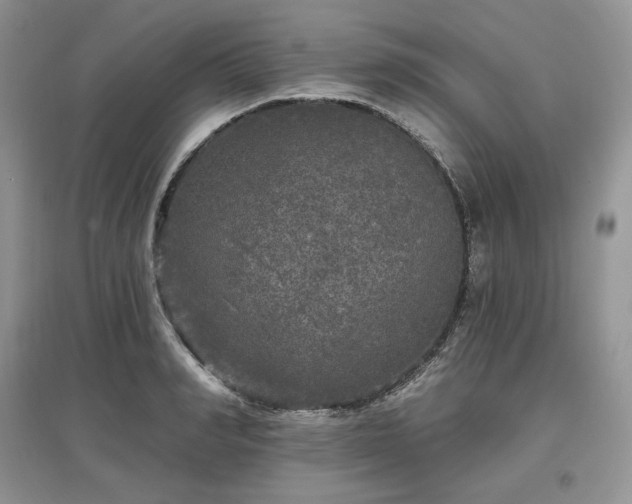 X0000097630990200803071527