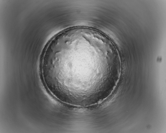 X0000097630991200803071527