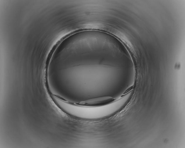 X0000097630992200803071527