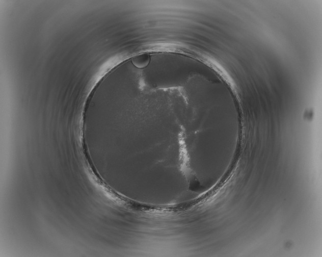 X0000097630994200803071527