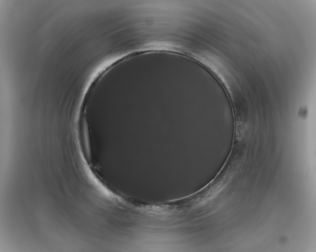 X0000097630995200803071527