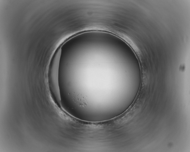 X0000097630996200803071527