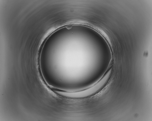 X0000097630997200803071527