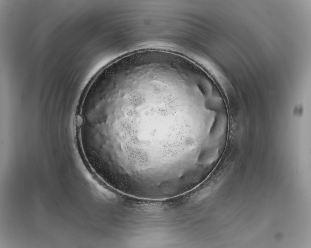 X0000097630999200803071527