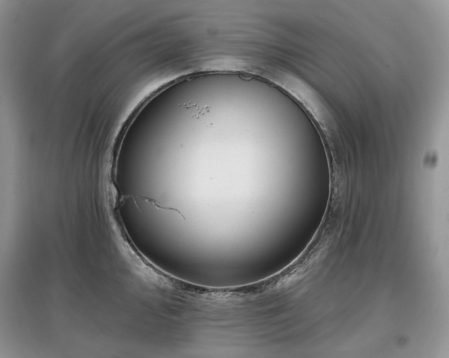 X0000097631000200803071527