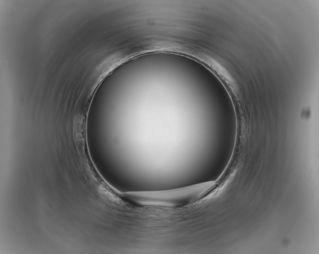 X0000097631001200803071527