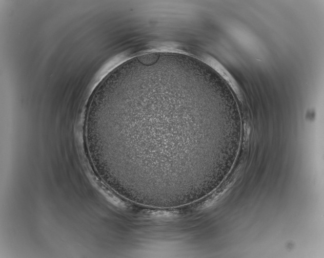 X0000097631002200803071527