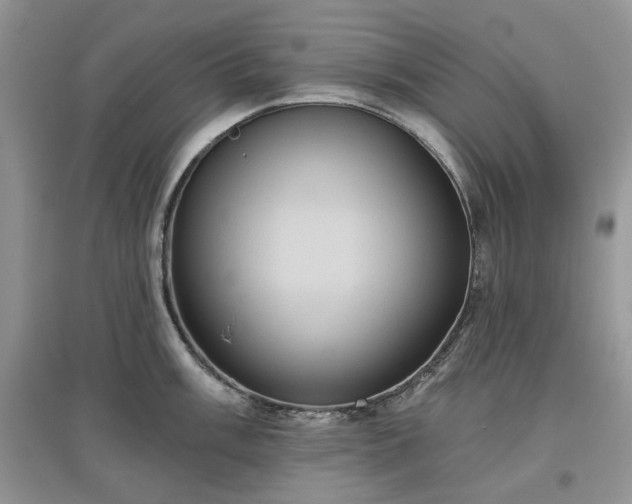 X0000097631003200803071527