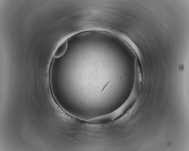 X0000097631004200803071527