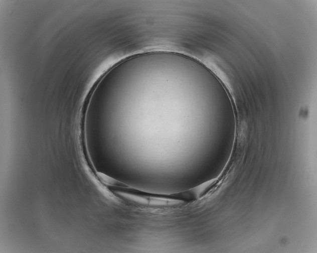 X0000097631005200803071527