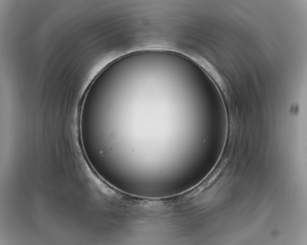 X0000097631006200803071527