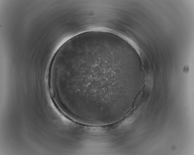 X0000097631007200803071527