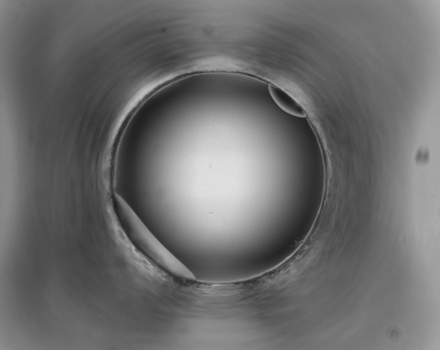 X0000097631008200803071527